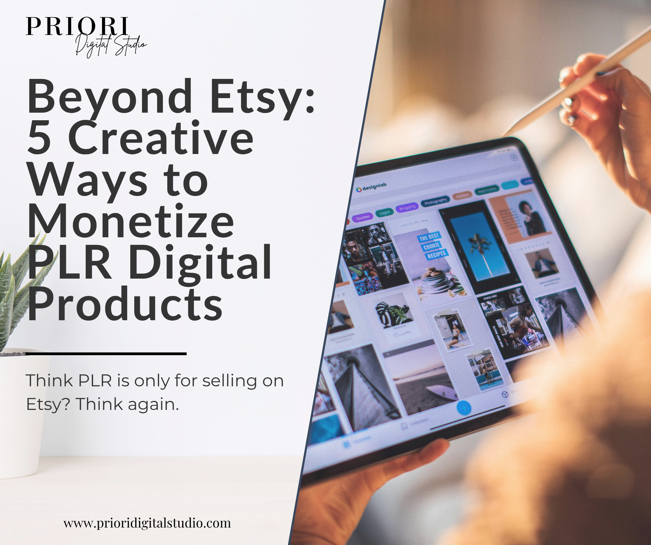 Beyond Etsy: 5 Creative Ways to Monetize PLR Digital Products
