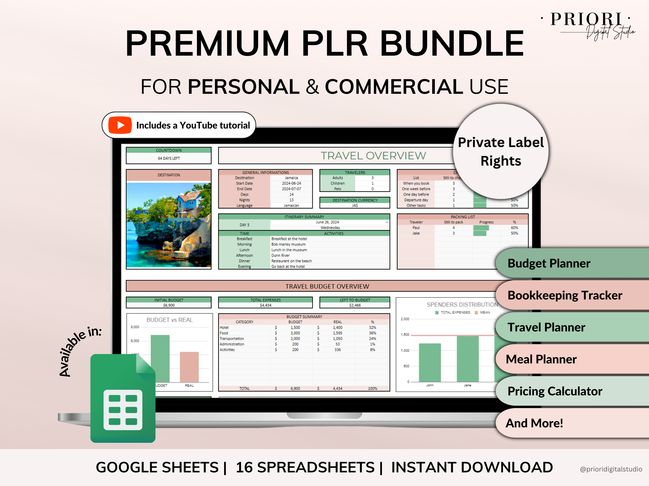 PLR Spreadsheets Bundle Commercial Use PLR Google Sheets Bundle Resell Rights PLR Template Budget Spreadsheet Debt Tracker Bill Calendar