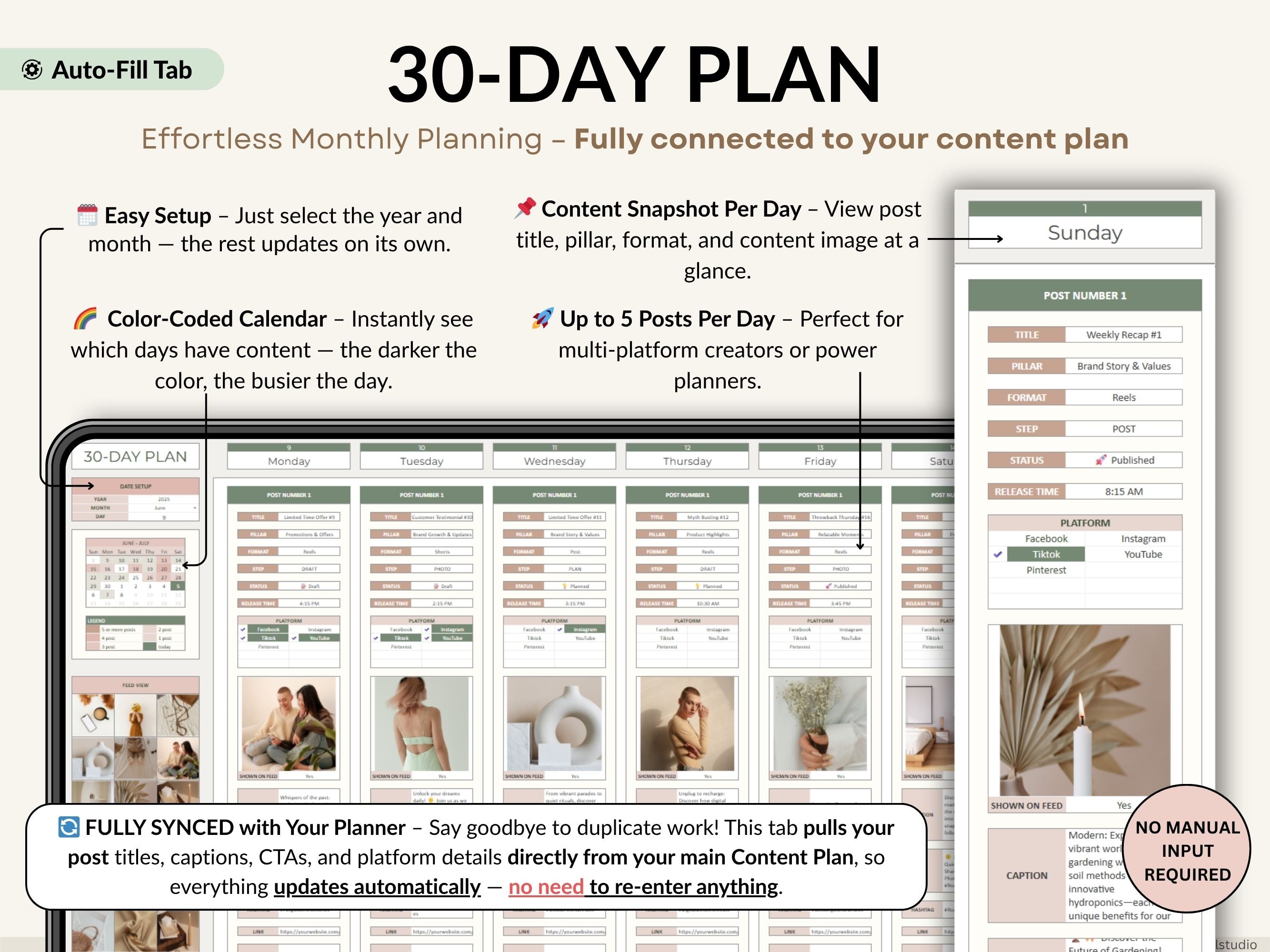 30-Day Plan tool for content planning with calendar and post details.
