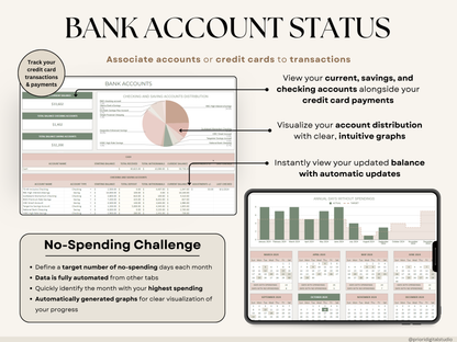 Paycheck Budget Spreadsheet Weekly Budget Monthly Budget Biweekly Bill Tracker Debt Tracker Financial Planner Google Sheets Excel Template